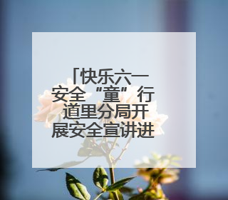 快乐六一 安全“童”行 道里分局开展安全宣讲进校园活动
