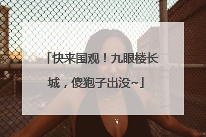 快来围观！九眼楼长城，傻狍子出没~