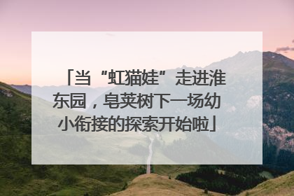 当“虹猫娃”走进淮东园，皂荚树下一场幼小衔接的探索开始啦