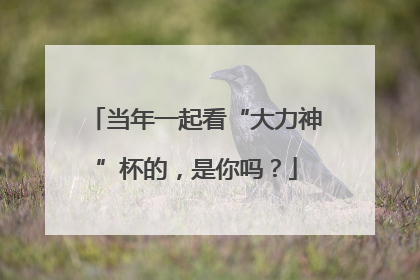 当年一起看“大力神”杯的，是你吗？