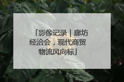 影像记录｜廊坊经洽会，现代商贸物流风向标