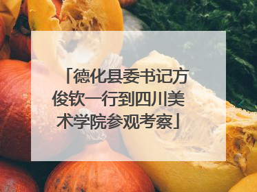德化县委书记方俊钦一行到四川美术学院参观考察