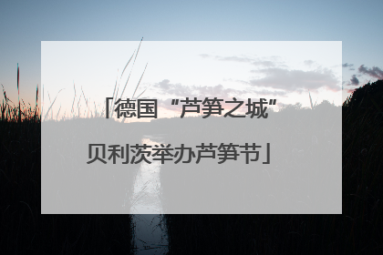 德国“芦笋之城”贝利茨举办芦笋节
