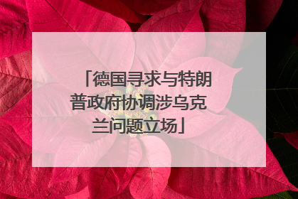 德国寻求与特朗普政府协调涉乌克兰问题立场