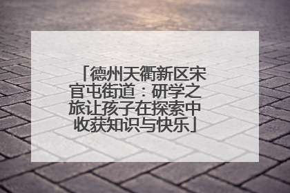 德州天衢新区宋官屯街道：研学之旅让孩子在探索中收获知识与快乐