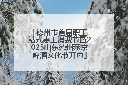 德州市首届职工一站式惠工消费节暨2025山东德州燕京啤酒文化节开幕