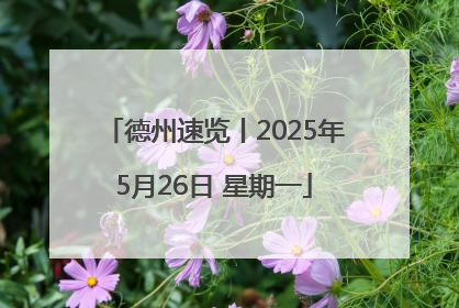 德州速览丨2025年5月26日 星期一