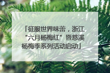 征服世界味蕾，浙江“六月杨梅红”暨慈溪杨梅季系列活动启动