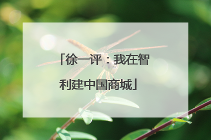 徐一评：我在智利建中国商城
