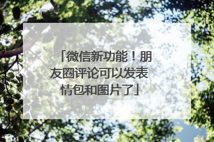 微信新功能！朋友圈评论可以发表情包和图片了