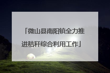 微山县南阳镇全力推进秸秆综合利用工作