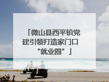 微山县西平镇党建引领打造家门口“就业圈”