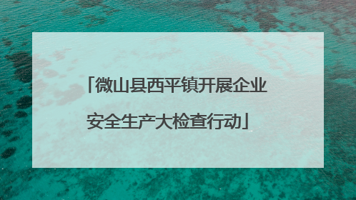 微山县西平镇开展企业安全生产大检查行动