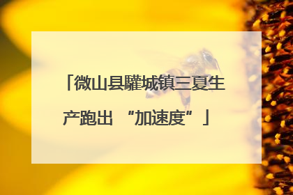 微山县驩城镇三夏生产跑出 “加速度”