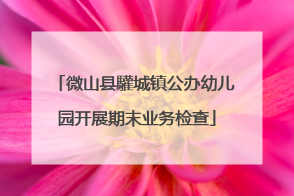 微山县驩城镇公办幼儿园开展期末业务检查