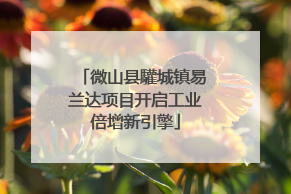 微山县驩城镇易兰达项目开启工业倍增新引擎