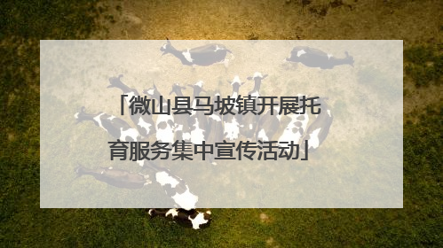 微山县马坡镇开展托育服务集中宣传活动