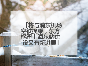 将与浦东机场空铁换乘，东方枢纽上海东站建设又有新进展