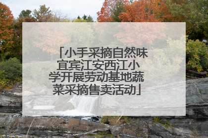 小手采摘自然味 宜宾江安西江小学开展劳动基地蔬菜采摘售卖活动