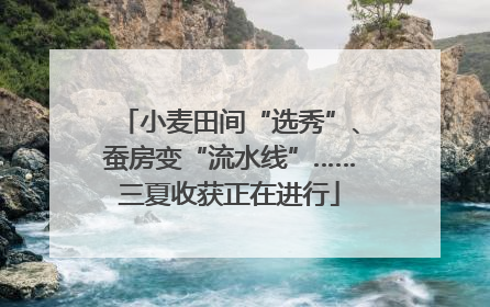 小麦田间“选秀”、蚕房变“流水线”……三夏收获正在进行