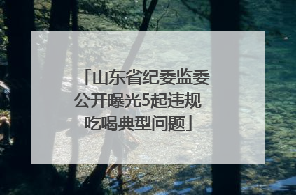 山东省纪委监委公开曝光5起违规吃喝典型问题