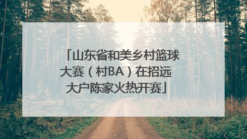 山东省和美乡村篮球大赛（村BA）在招远大户陈家火热开赛