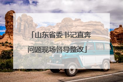 山东省委书记直奔问题现场督导整改