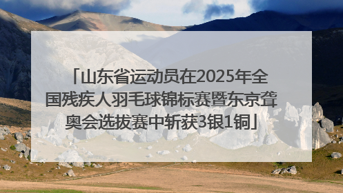 山东省运动员在2025年全国残疾人羽毛球锦标赛暨东京聋奥会选拔赛中斩获3银1铜