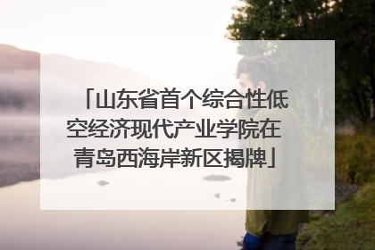 山东省首个综合性低空经济现代产业学院在青岛西海岸新区揭牌