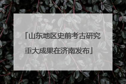 山东地区史前考古研究重大成果在济南发布