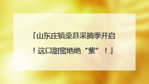 山东庄镇桑葚采摘季开启！这口甜蜜绝绝“紫”！