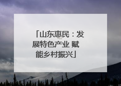 山东惠民：发展特色产业 赋能乡村振兴