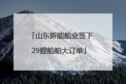 山东新能船业签下29艘船舶大订单