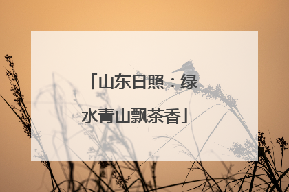 山东日照：绿水青山飘茶香