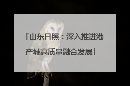 山东日照：深入推进港产城高质量融合发展