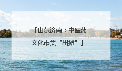 山东济南：中医药文化市集“出摊”