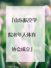 山东航空学院老年人体育协会成立