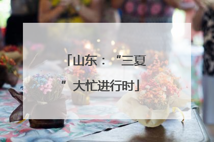 山东：“三夏”大忙进行时