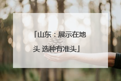 山东：展示在地头 选种有准头