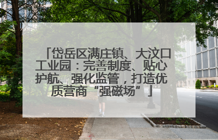 岱岳区满庄镇、大汶口工业园：完善制度、贴心护航、强化监管，打造优质营商“强磁场”