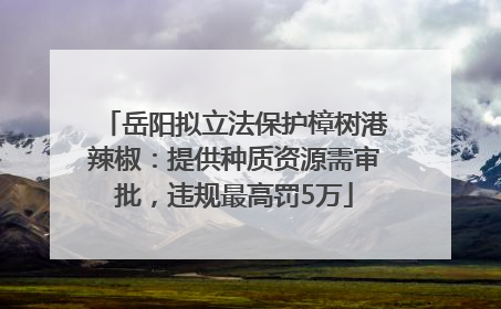 岳阳拟立法保护樟树港辣椒：提供种质资源需审批，违规最高罚5万