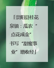 崇阳县桂花泉镇：瓜农“点花成金” 书写“甜蜜事业”增收经
