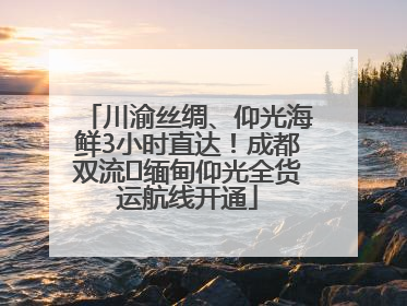 川渝丝绸、仰光海鲜3小时直达！成都双流⇌缅甸仰光全货运航线开通