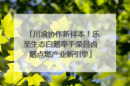 川渝协作新样本！乐至生态白鹅牵手荣昌卤鹅点燃产业新引擎