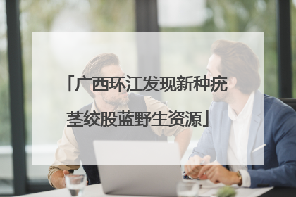 广西环江发现新种疣茎绞股蓝野生资源