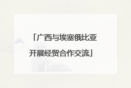 广西与埃塞俄比亚开展经贸合作交流