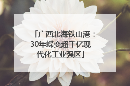 广西北海铁山港：30年蝶变超千亿现代化工业强区