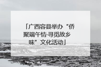 广西容县举办“侨聚端午情·寻觅故乡味”文化活动