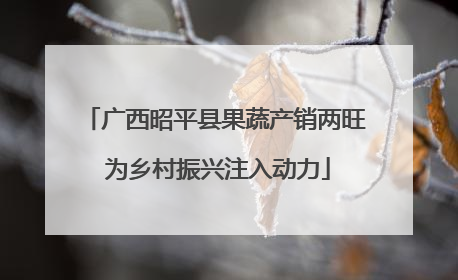 广西昭平县果蔬产销两旺 为乡村振兴注入动力