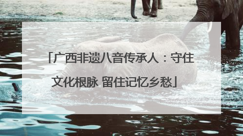 广西非遗八音传承人：守住文化根脉 留住记忆乡愁